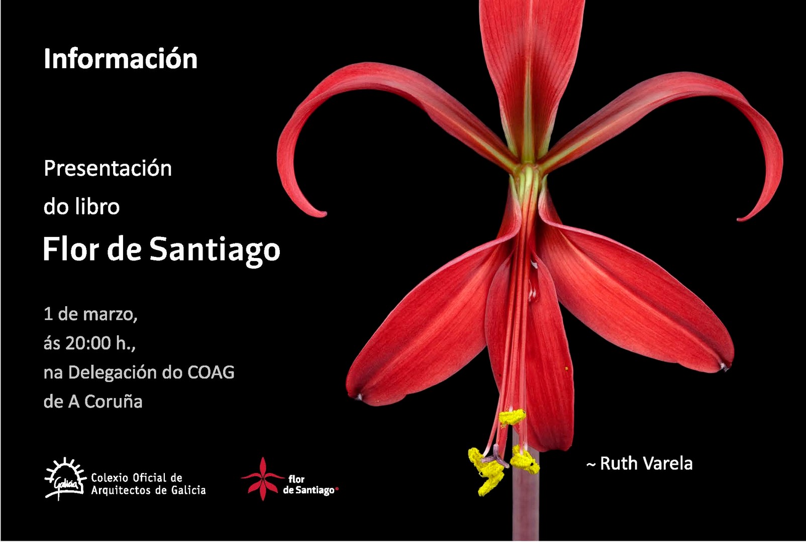 Presentación do libro “Flor de Santiago”