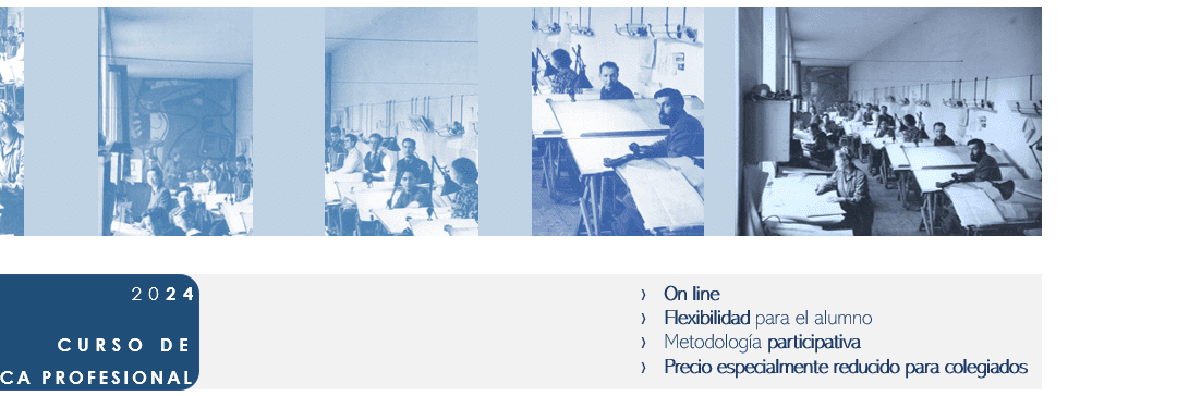 Curso de práctica profesional 2024