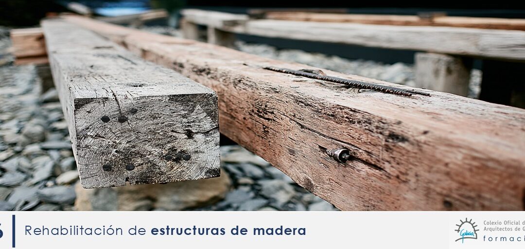 Curso_»Rehabilitación de estructuras de madera»