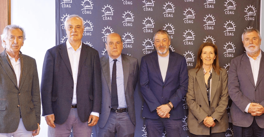 Los colegios de médicos, abogados, arquitectos e ingenieros reclaman avances para garantizar una atención de calidad a la ciudadanía
